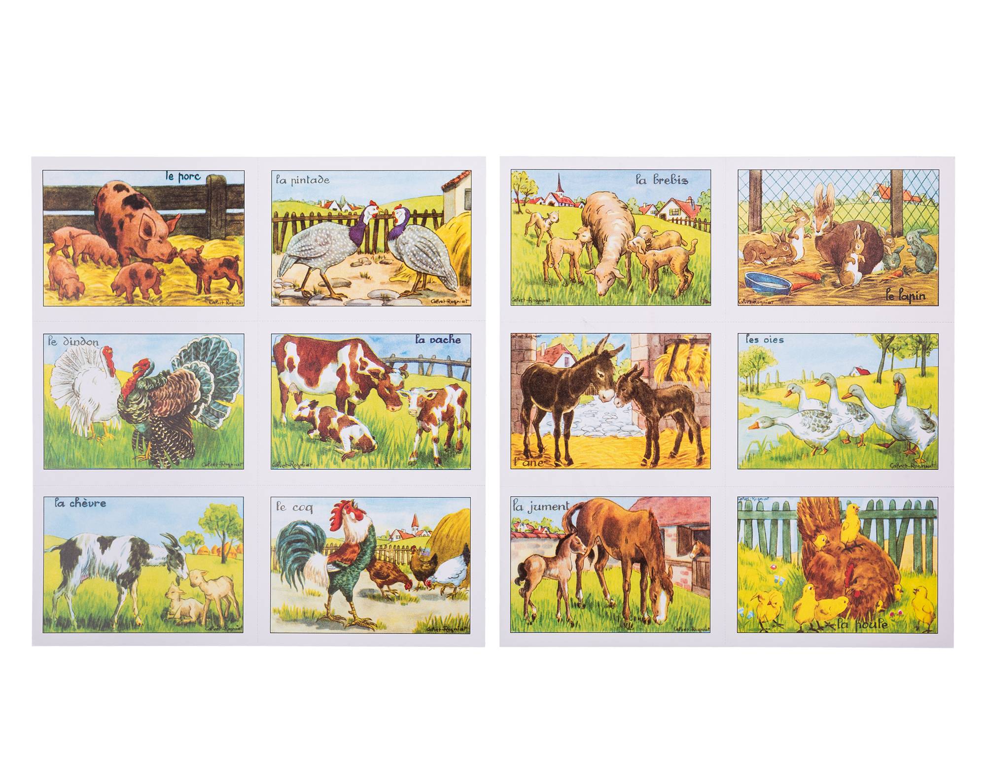 01 AP-001Animaux de la ferme