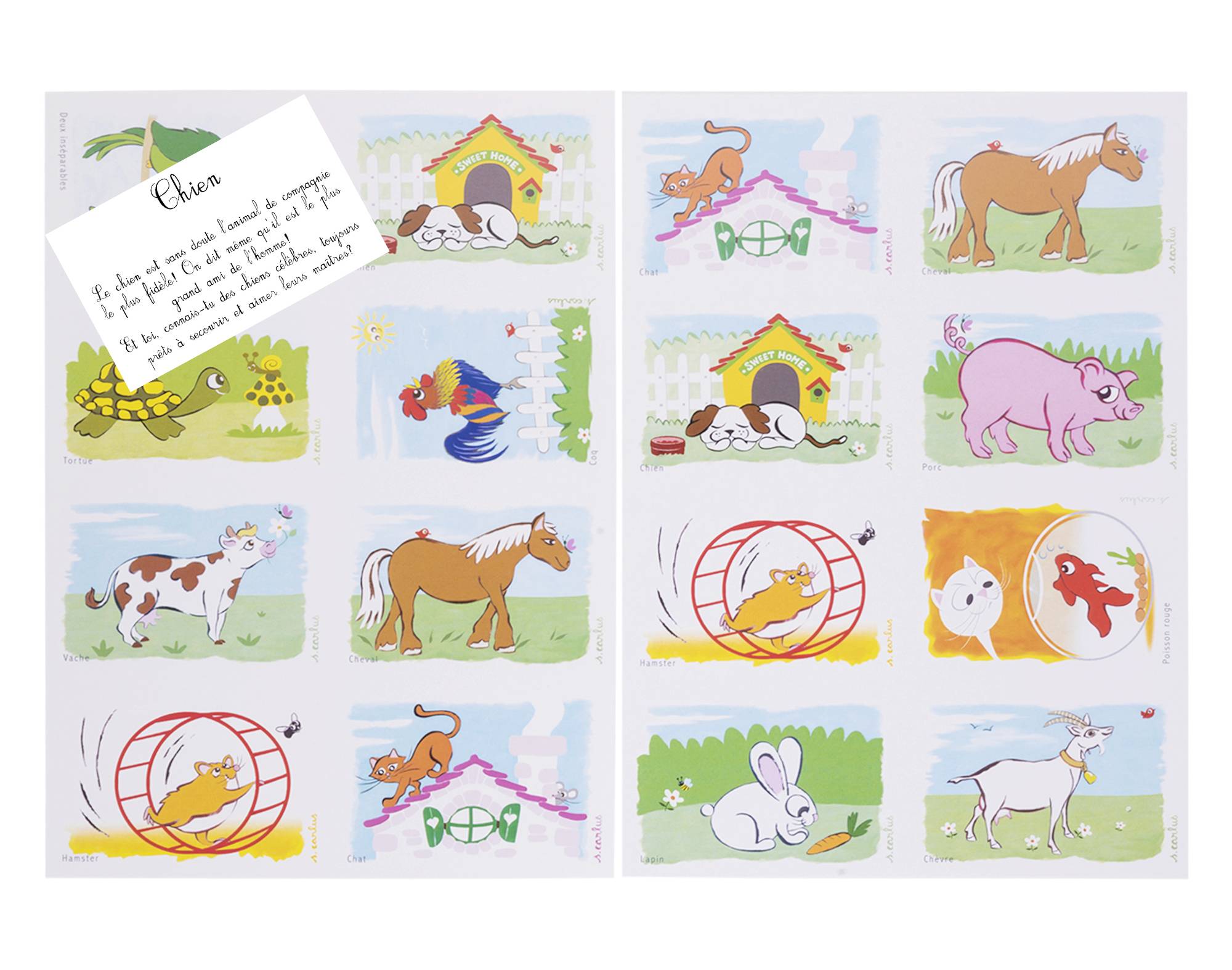 14 BP 032 Animaux domestique