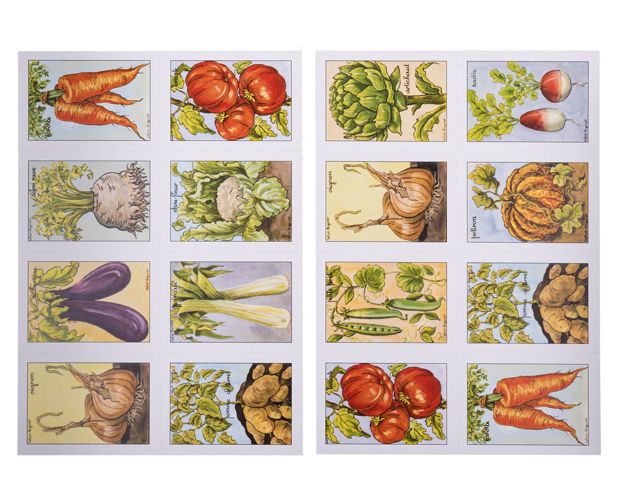 16 BP-031 Légumes